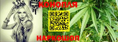 гашик Кандалакша