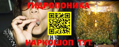 гашик Кандалакша