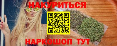 гашик Кандалакша