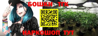 гашик Кандалакша