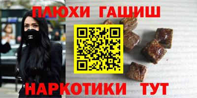 гашик Кандалакша