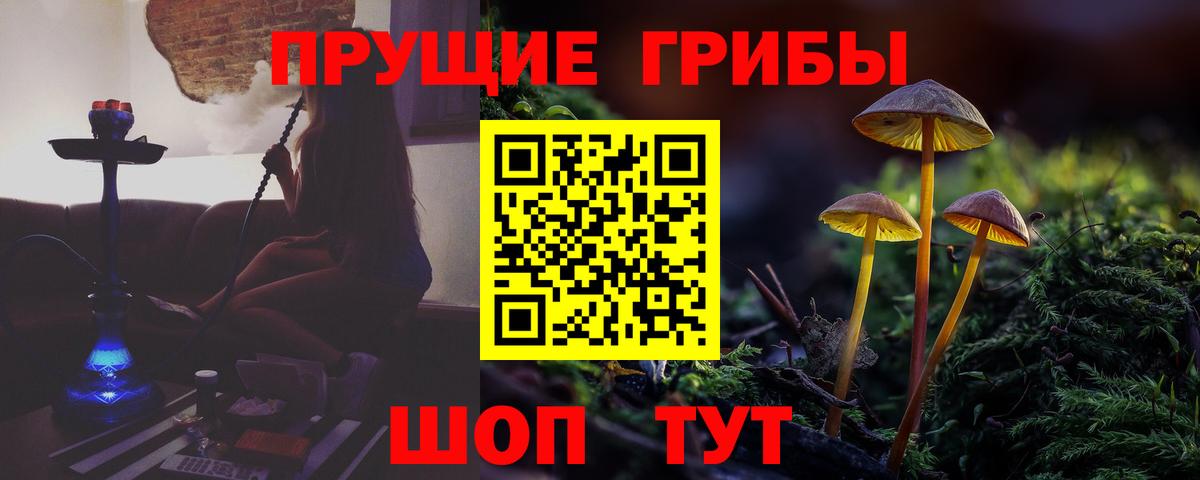 Псилоцибиновые грибы Magic Shrooms Электрогорск